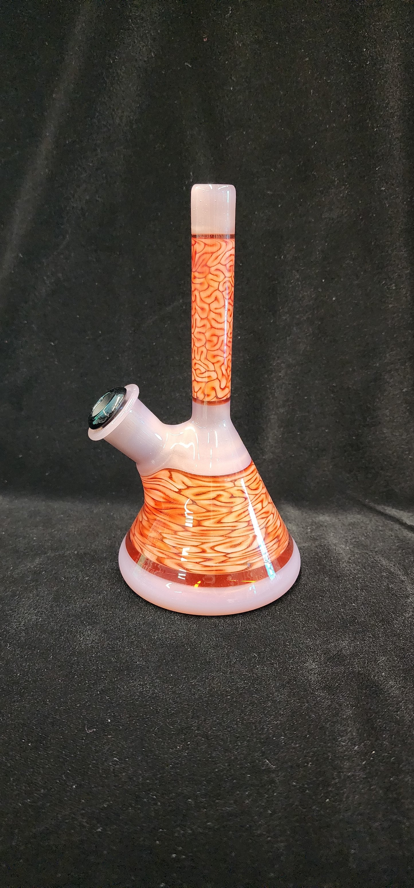 Algae Glass Encalmo Beaker