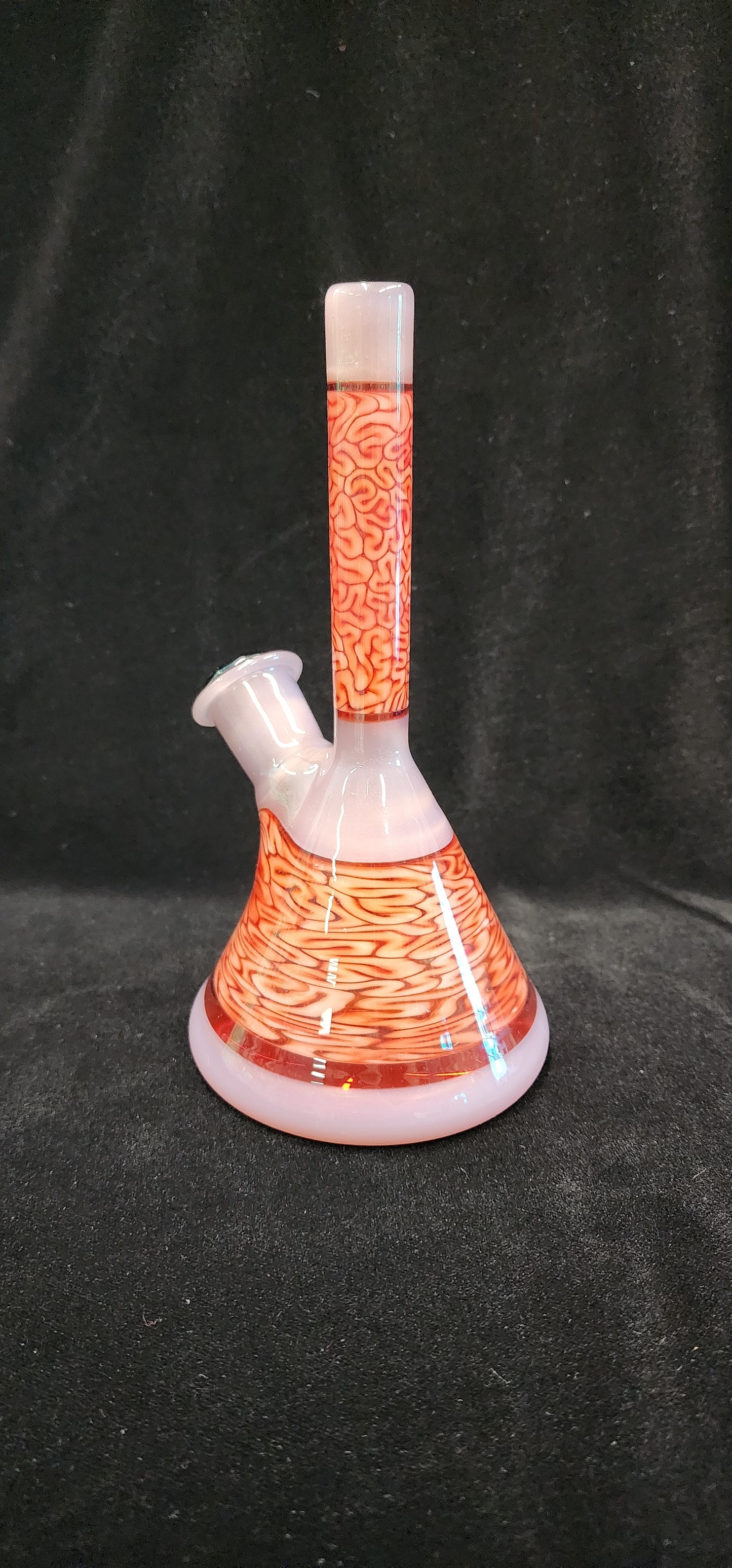 Algae Glass Encalmo Beaker