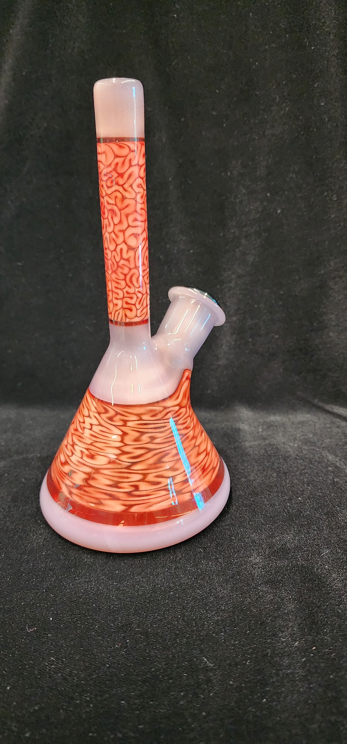 Algae Glass Encalmo Beaker