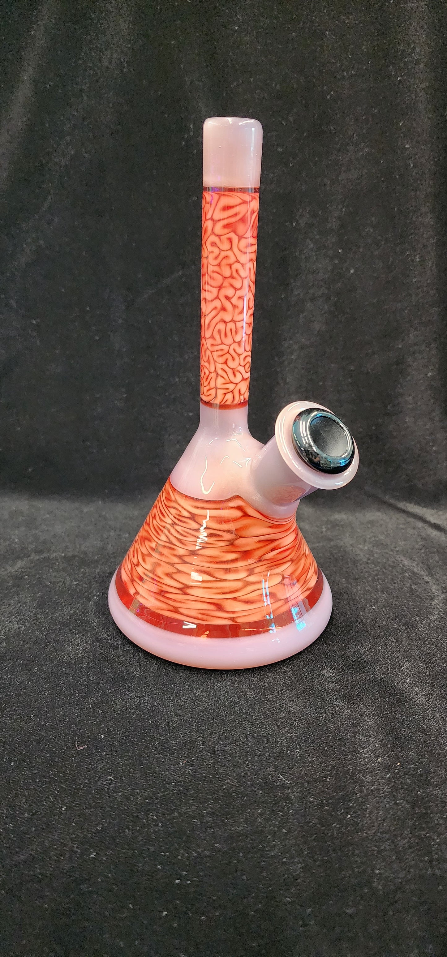 Algae Glass Encalmo Beaker